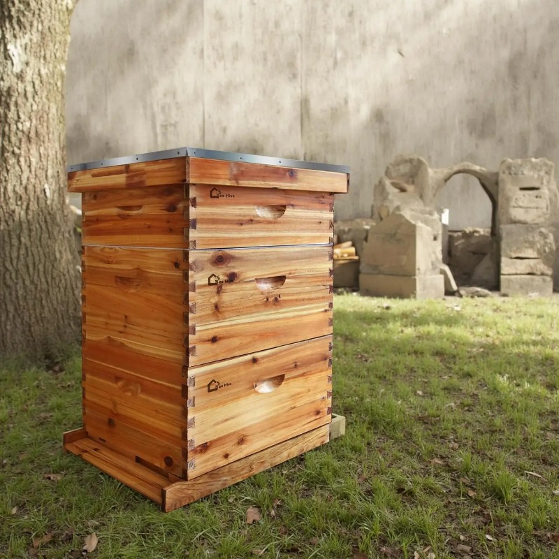 10-Rahmen Komplettes Bienensto – Beehive Frame Wax Bewertung und Preis