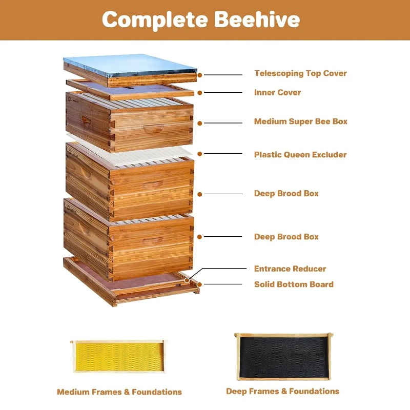 10-Rahmen Komplettes Bienensto – Beehive Frame Wax Bewertung und Preis