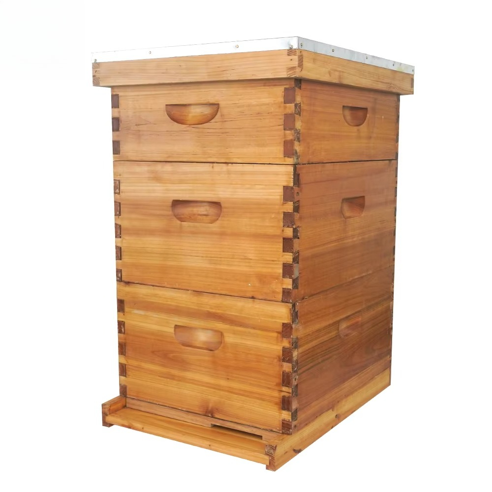 Kompletter 3-lagiger, mit Wach – Beehive Frame Wax Bewertung und Preis