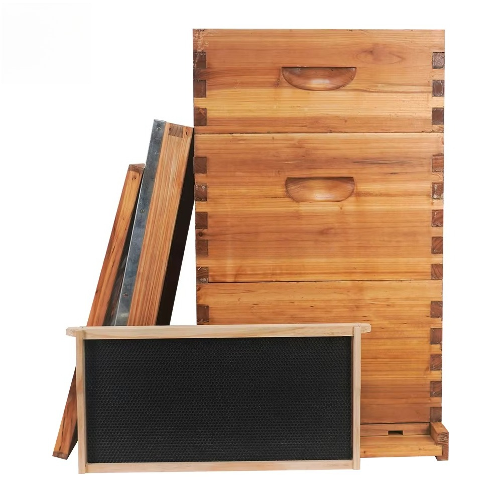 Kompletter 3-lagiger, mit Wach – Beehive Frame Wax Bewertung und Preis