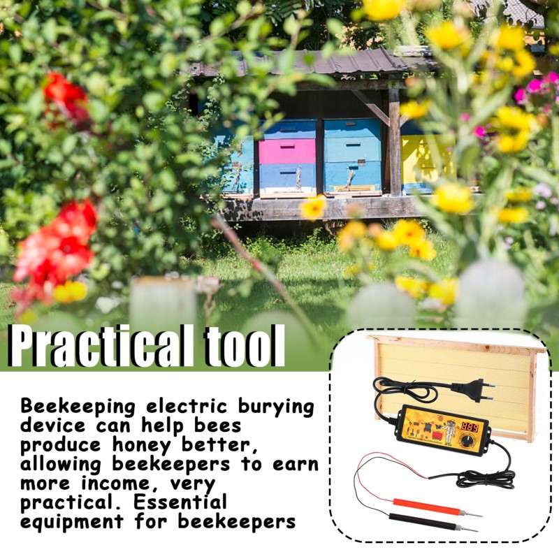 Bienenzucht Werkzeug EU Stecke – Beehive Frame Wax Bewertung und Preis