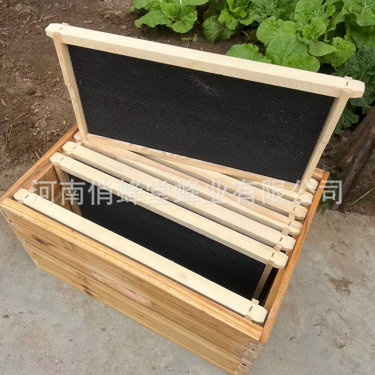 Imkerei-Werkzeuge: Erstklassig – Beehive Frame Wax Bewertung und Preis