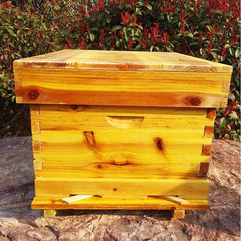 Bienenstock, komplettes Set vo – Beehive Frame Wax Bewertung und Preis