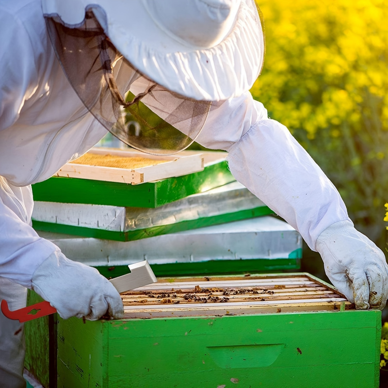Bienenrahmen-Schaber Multifunk – Beehive Frame Wax Bewertung und Preis