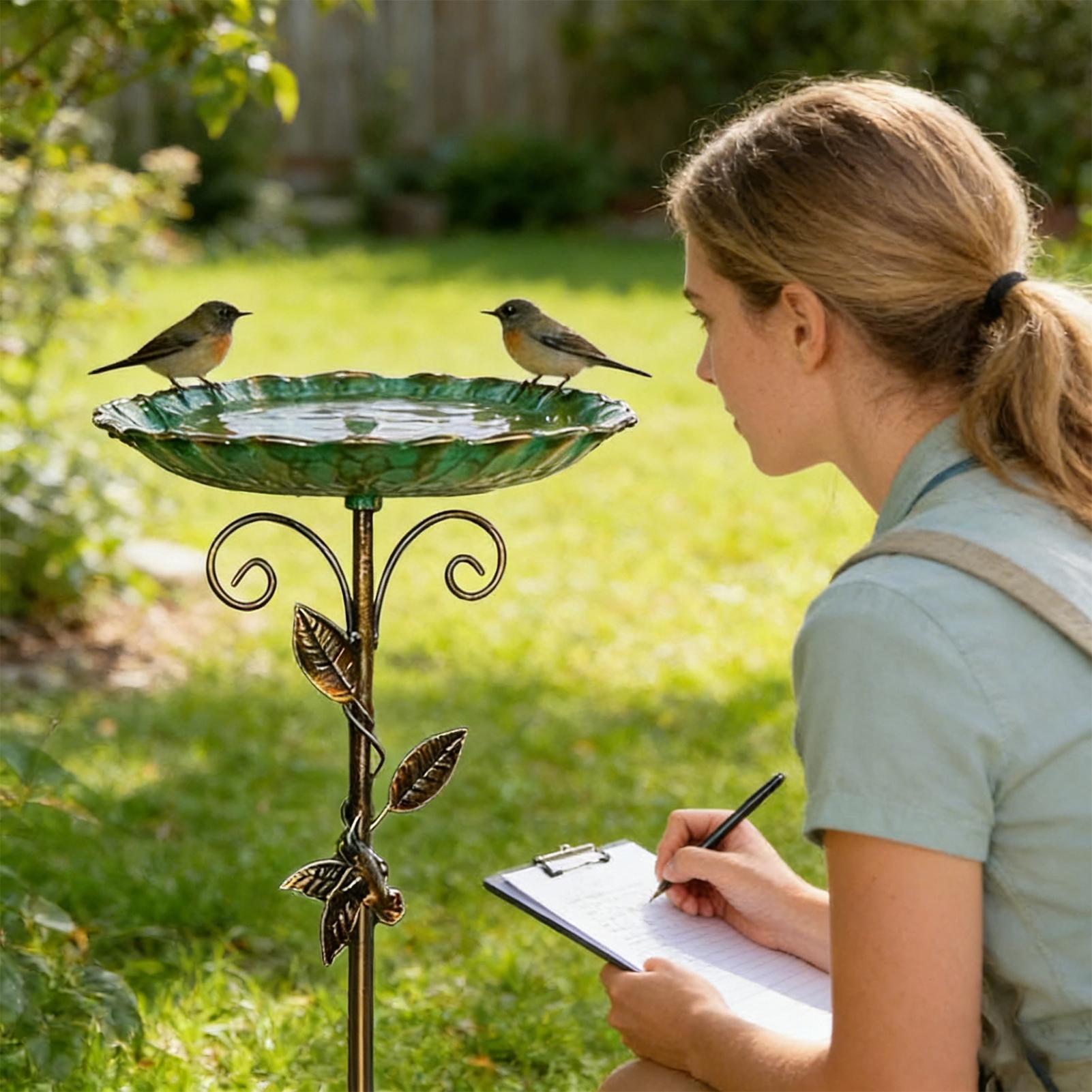 Vogelbad für den Außenbereich, – Farming And Agriculture Bewertung und Preis