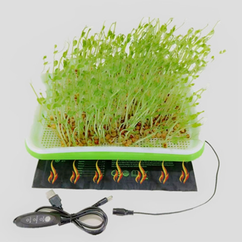 Reptilien-Lebensraum-Heizkisse – Seedling Heat Mat Bewertung und Preis