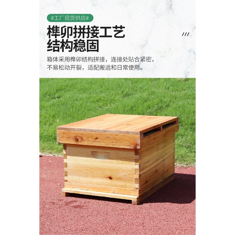 Tannenholz 10-Rahmen Bienensto – Beehive Frame Wax Bewertung und Preis