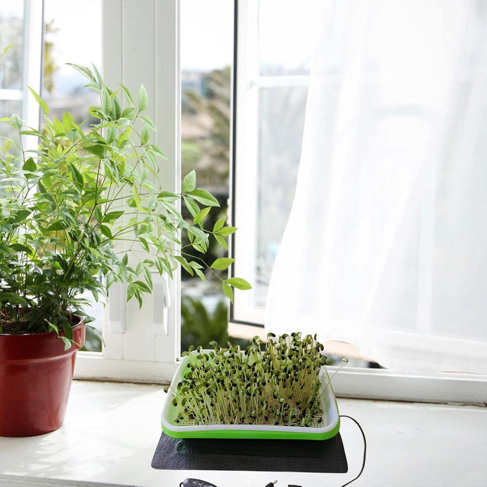 Hydroponische Heizmatte für Sä – Seedling Heat Mat Bewertung und Preis